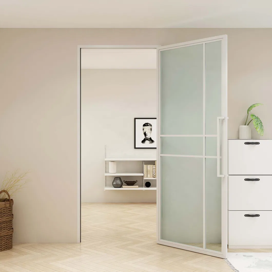 New Design Swing Glass Door with Steel Frame and Hinges