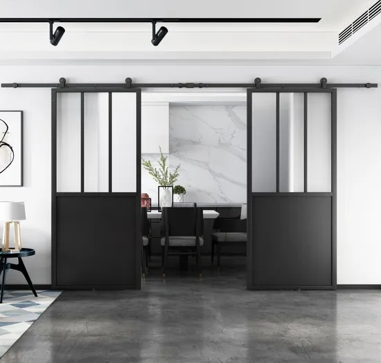 Double Kick Helder 210X100mm Metal Frame Glass Doors with Barn Door Hardware