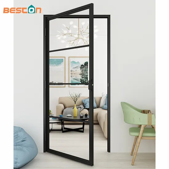 Fashion Steel Framed Swing Glass Door with Door Lock