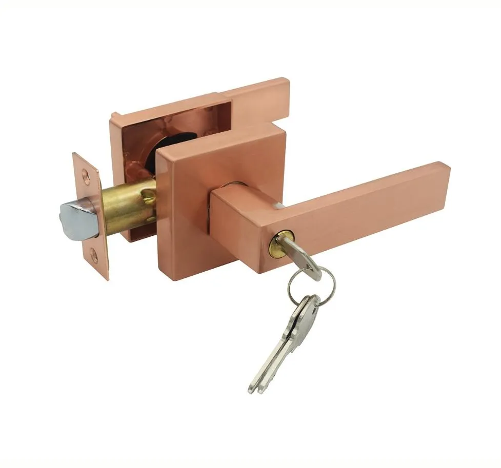 Zinc Alloy Entry Privacy Passage Dummy Door One Side Lever Handle Lock