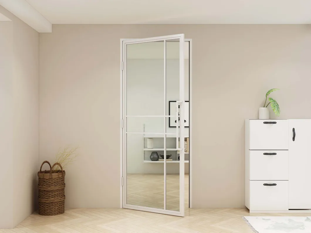 New Design Swing Glass Door with Steel Frame and Hinges