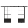 Double Kick Helder 210X100mm Metal Frame Glass Doors with Barn Door Hardware