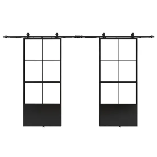 Double Kick Helder 210X100mm Metal Frame Glass Doors with Barn Door Hardware