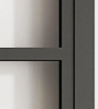 Modern Black Steel Frame Glass Barn Door Leaf