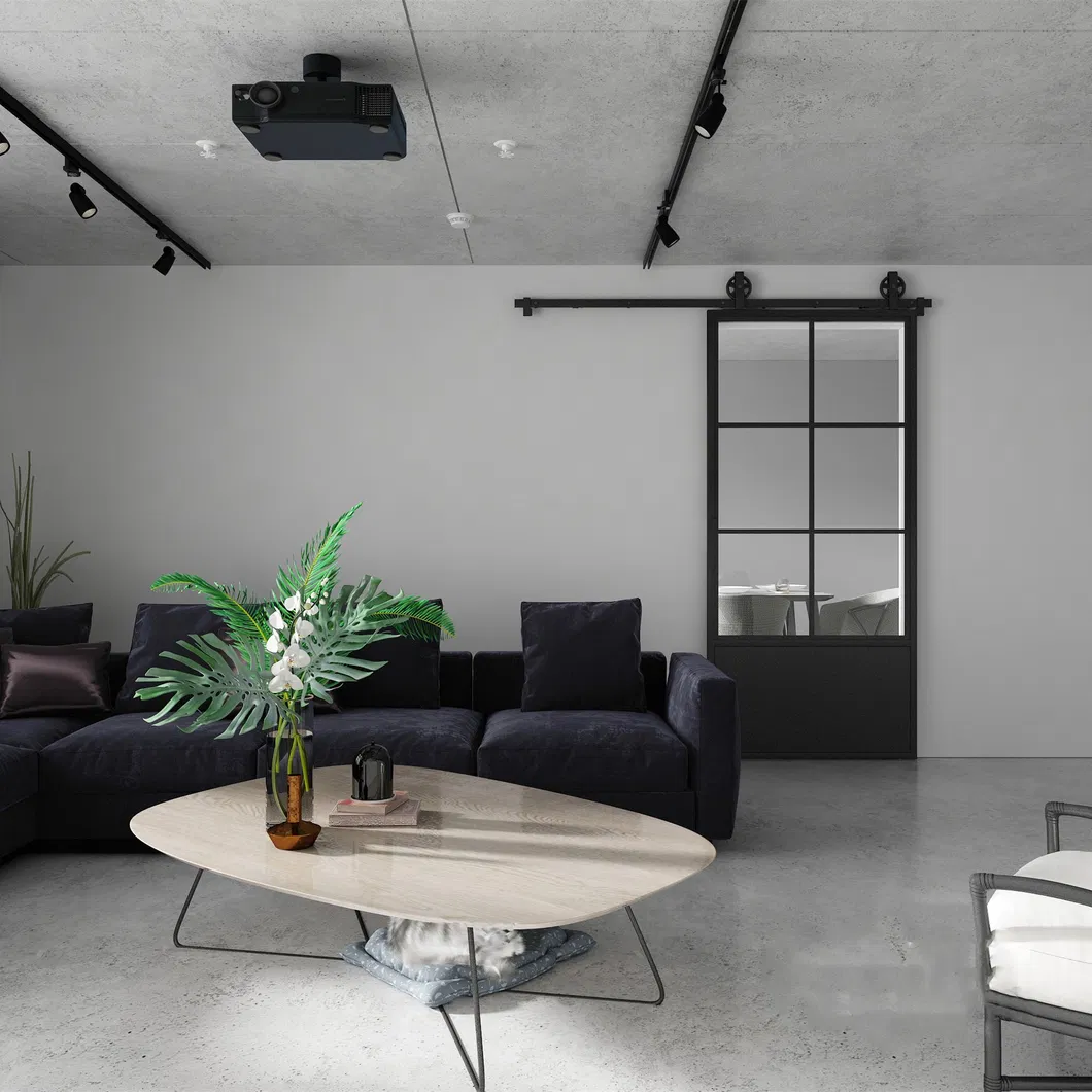 Interior Sliding Door with Steel Frame, Wholesale Sliding Door System