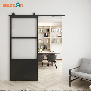 Knockdown Paneled Metal Glass Concorde Barn Door with Hardware