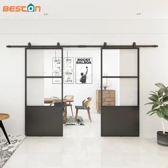 Double Glass Barn Door with 12FT Top Mounted Hardware Kit Soft Close