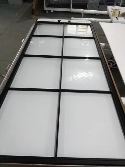 Custom Steel Frame Glass Swing Door with Hardware