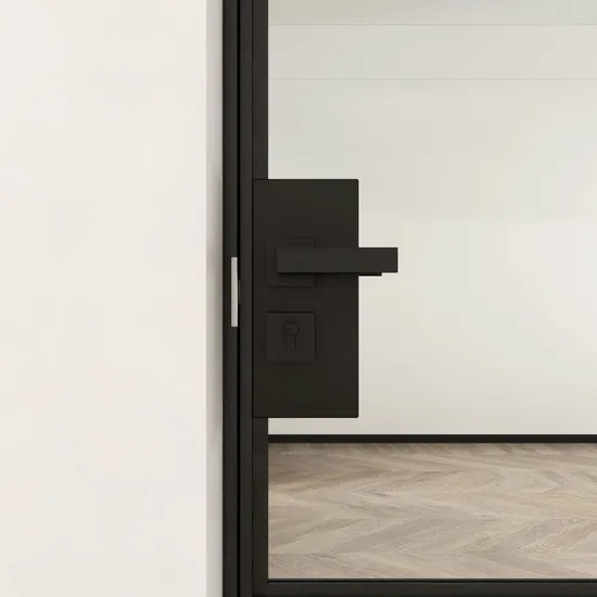 Powder Coating Alu-Framed Hinged Aluminum Swing Glass Doors