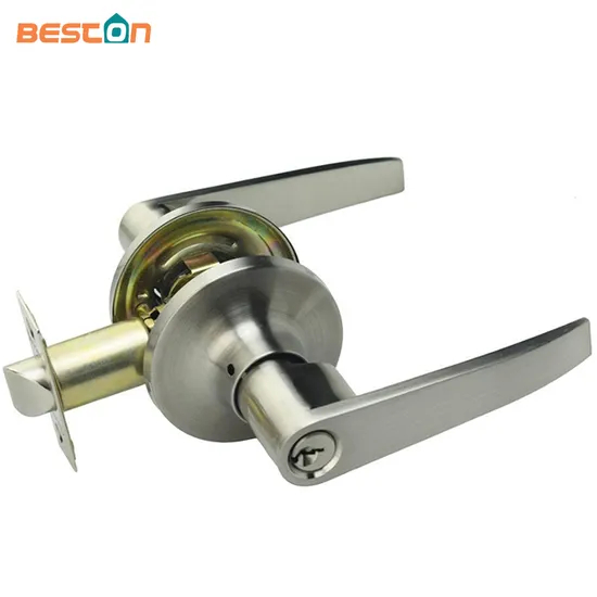 Zinc Alloy Entry Privacy Passage Dummy Door One Side Lever Handle Lock