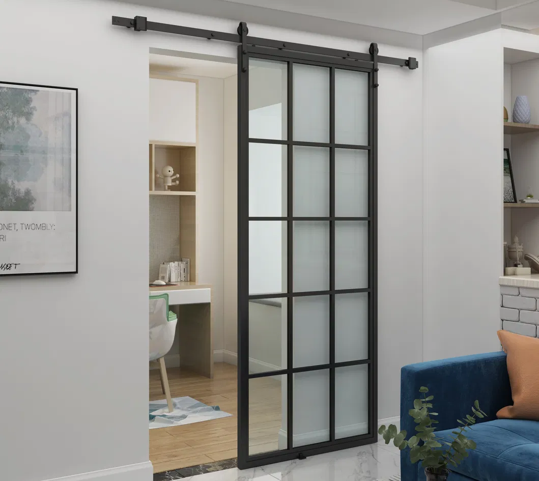French Style 15 Lites Steel Frame Glass Barn Door with Hardware