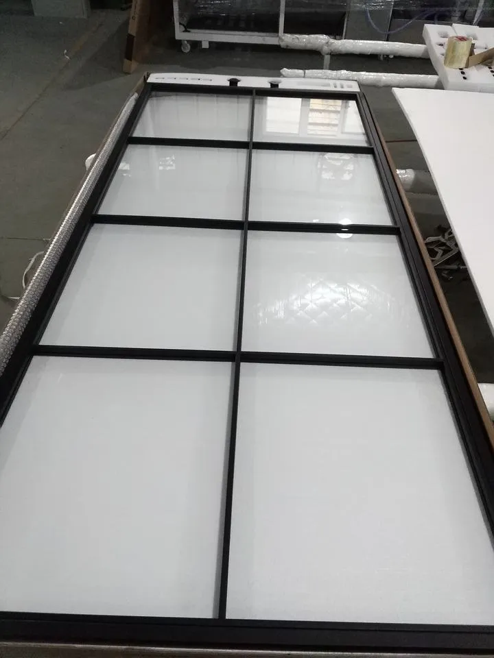 Custom Steel Frame Glass Swing Door with Hardware