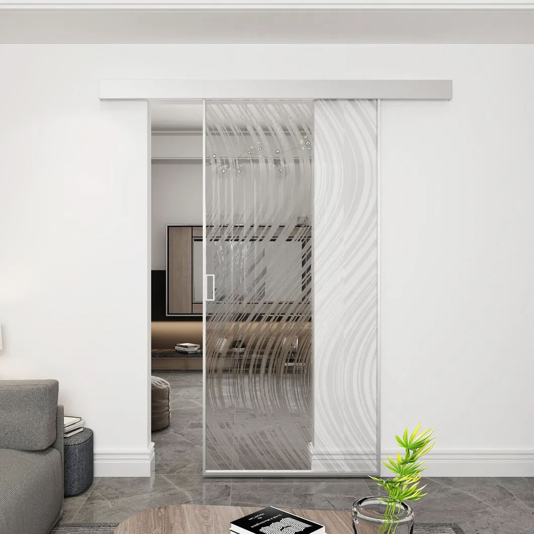 Slim Framed Metal Sliding Glass Barn Door with Metal Frame