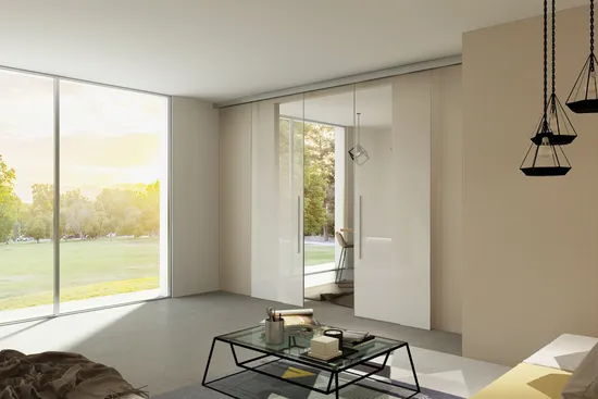 Slim Framed Metal Sliding Glass Barn Door with Metal Frame