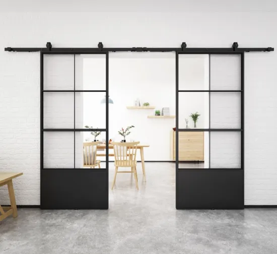 Double Kick Helder 210X100mm Metal Frame Glass Doors with Barn Door Hardware