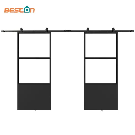 Double Kick Helder 210X100mm Metal Frame Glass Doors with Barn Door Hardware