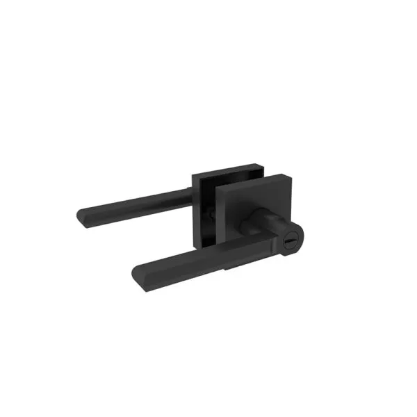 Loft French Style Black Steel Frame Swing Glass Hinge Door