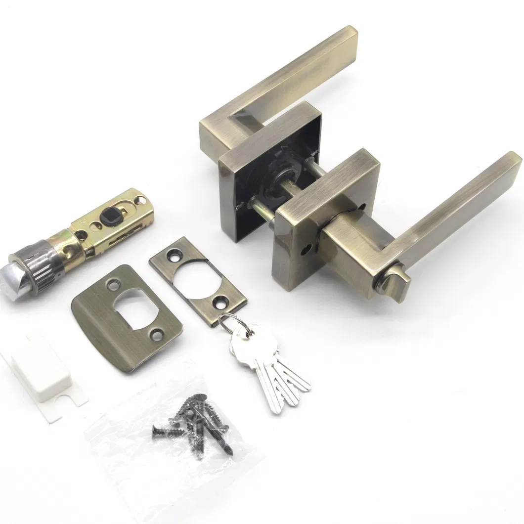 Zinc Alloy Entry Privacy Passage Dummy Door One Side Lever Handle Lock