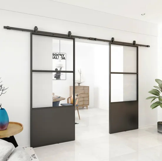 Double Kick Helder 210X100mm Metal Frame Glass Doors with Barn Door Hardware