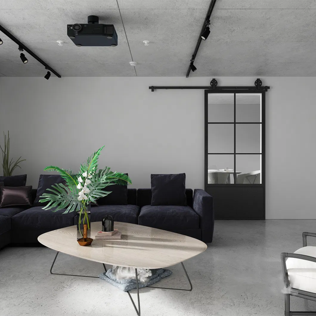 Interior Steel Frame Glass Door with Kickplate, Wholesale Sliding Door System