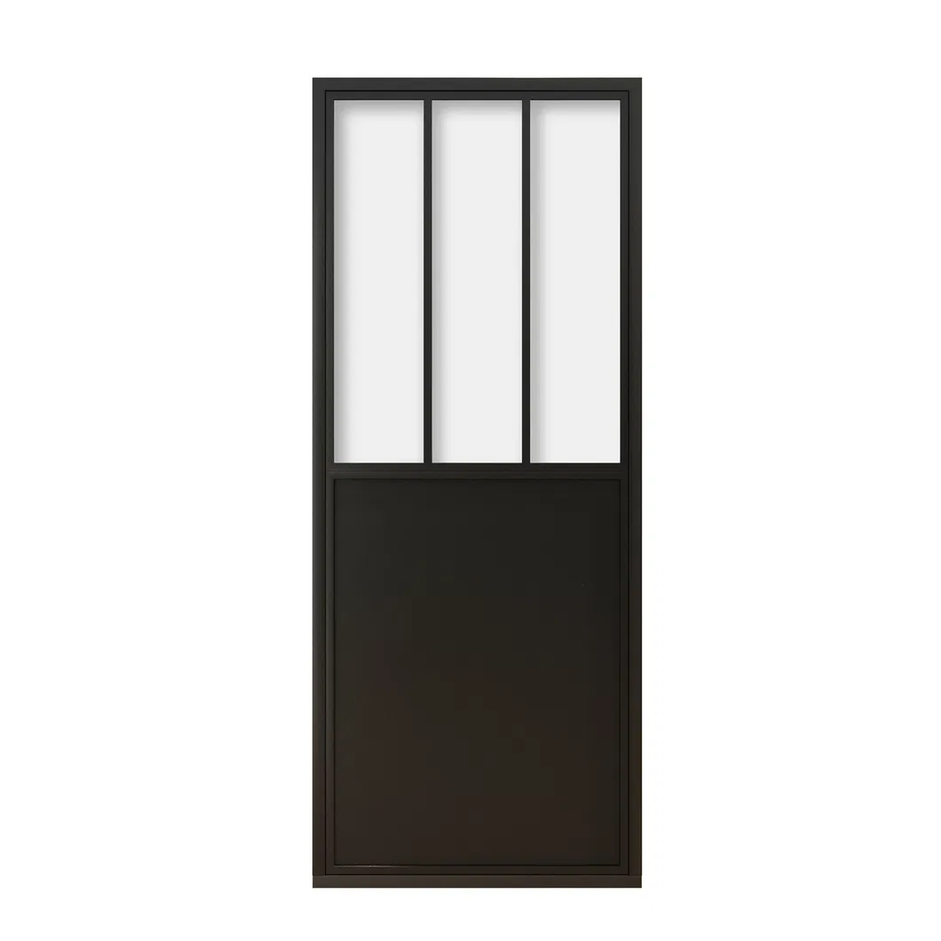 Black Steel Frame Glass Barn Door with Kickplate Soft Closer Equipped