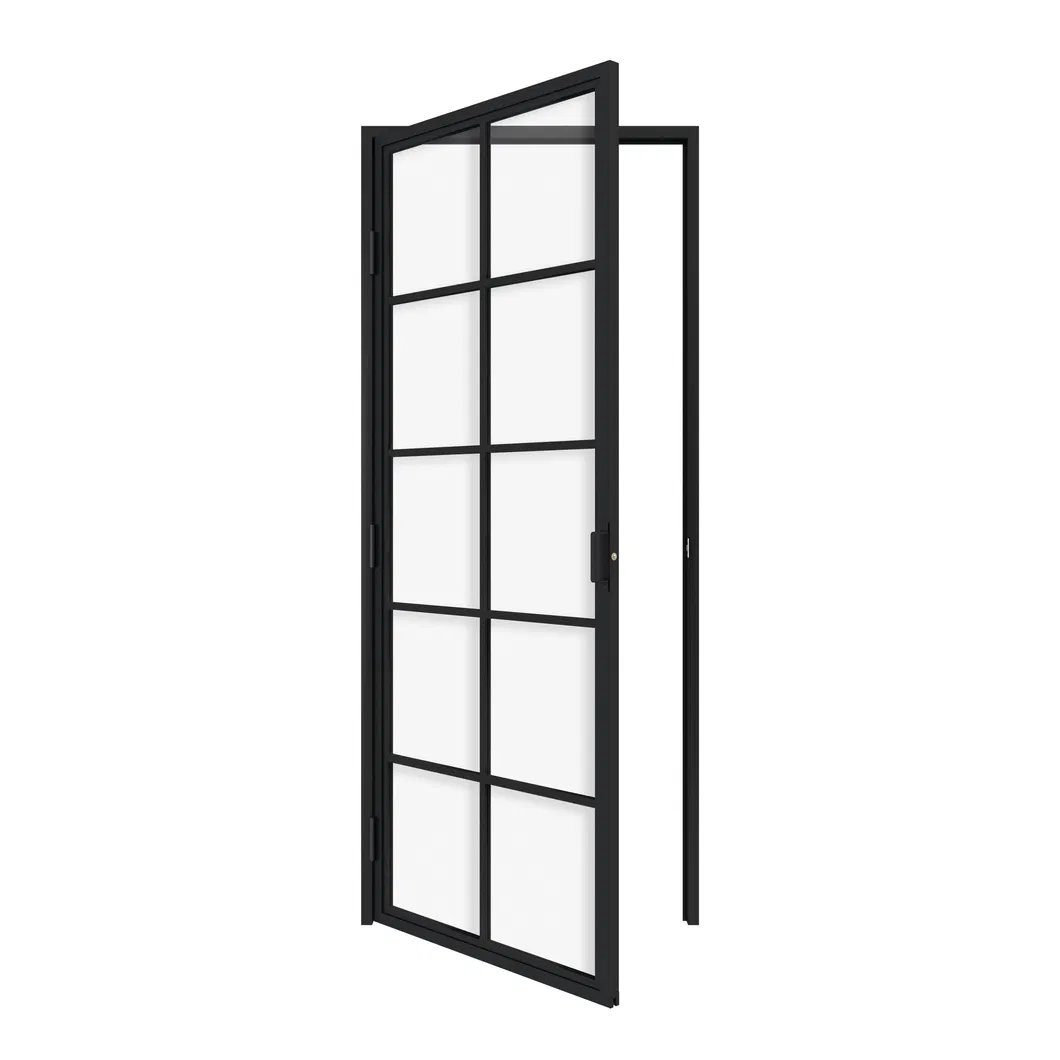 Custom Steel Frame Glass Swing Door with Hardware
