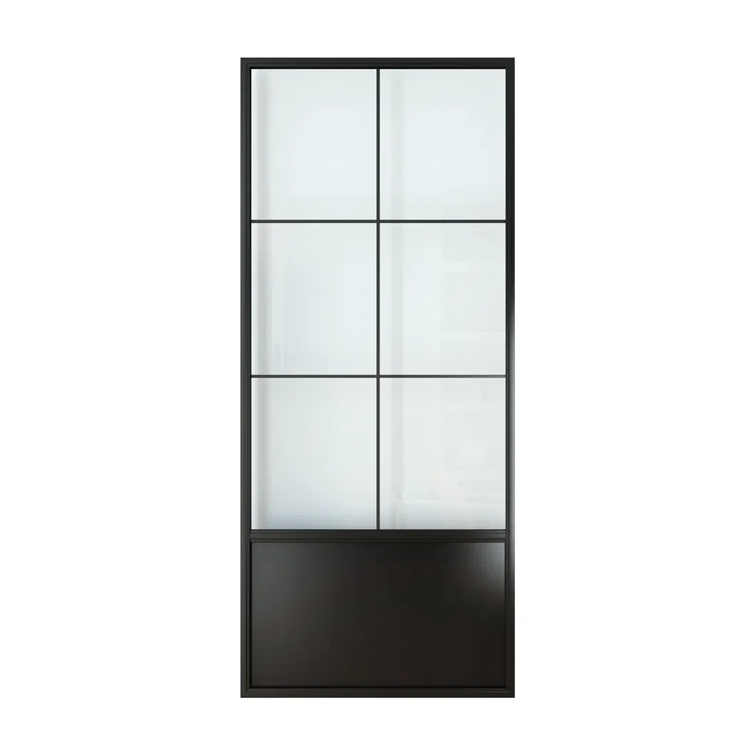 Modern Black Steel Frame Glass Barn Door, Interior Sliding Door