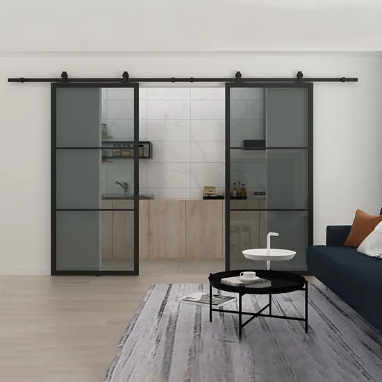 Black Powder Coated Glass Flush Door Double Sliding Impact Glass Sliding Door