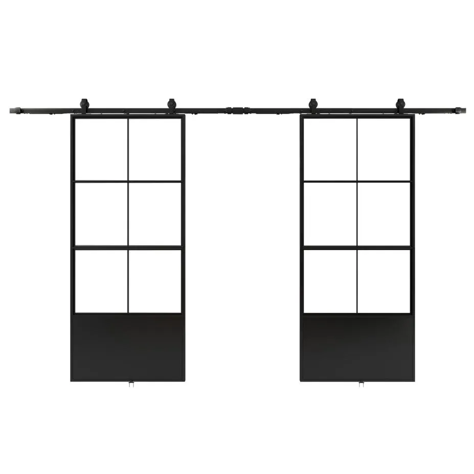 Double Kick Helder Metal Frame Glass Doors with Barn Door Hardware