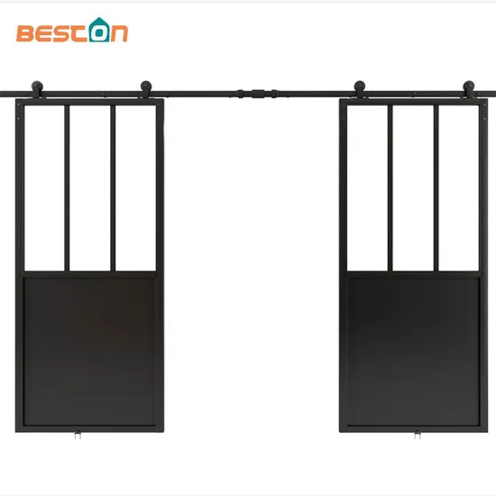 Double Kick Helder Metal Frame Glass Doors with Barn Door Hardware