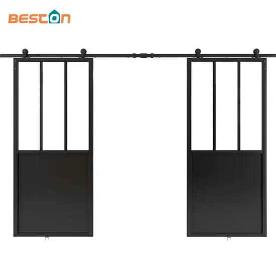 Double Glass Barn Door with 12FT Top Mounted Hardware Kit